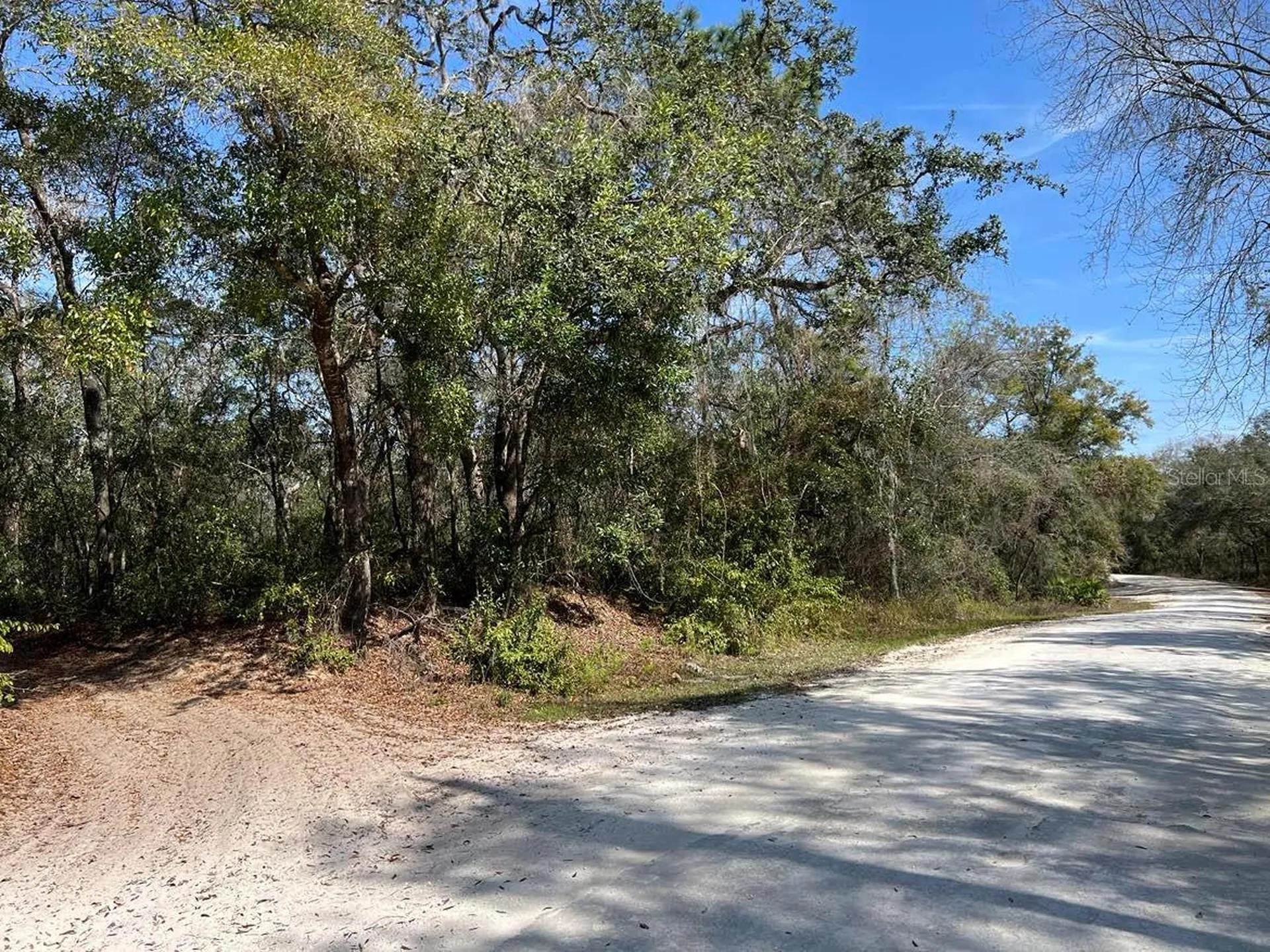 34085 Arrowrock Street Webster FL 33597