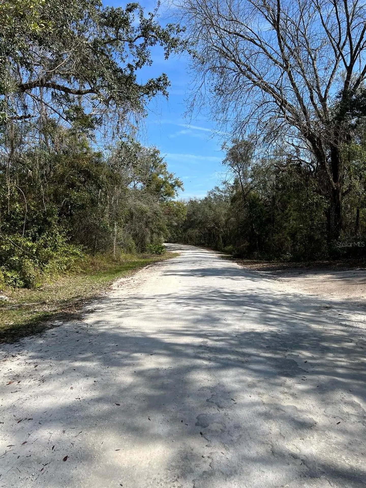 34085 Arrowrock Street Webster FL 33597