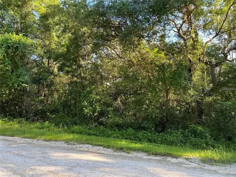 34085 Arrowrock Street Webster FL 33597