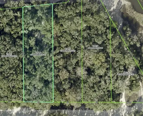 34085 Arrowrock Street Webster FL 33597