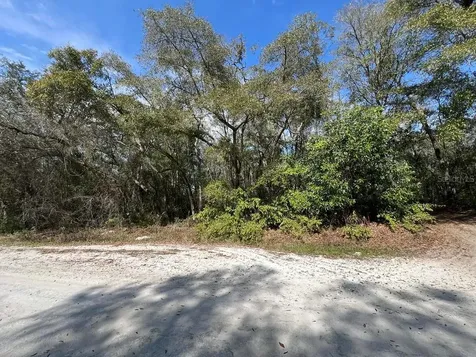 34085 Arrowrock Street Webster FL 33597