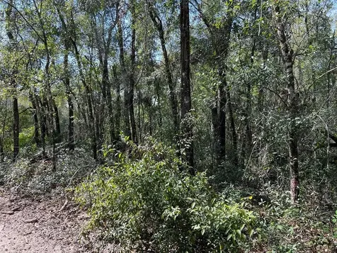 34085 Arrowrock Street Webster FL 33597