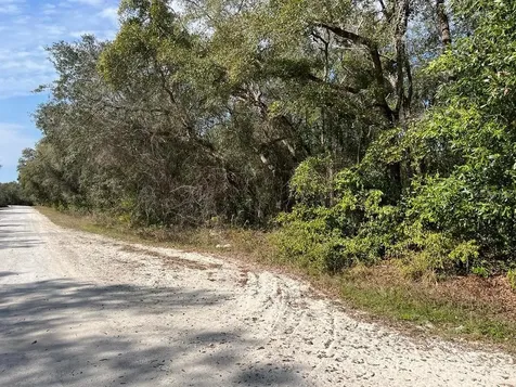 34085 Arrowrock Street Webster FL 33597