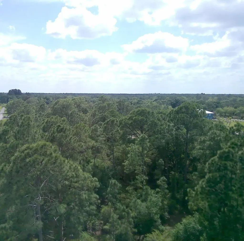 000 NE 189th Lane Citra FL 32113