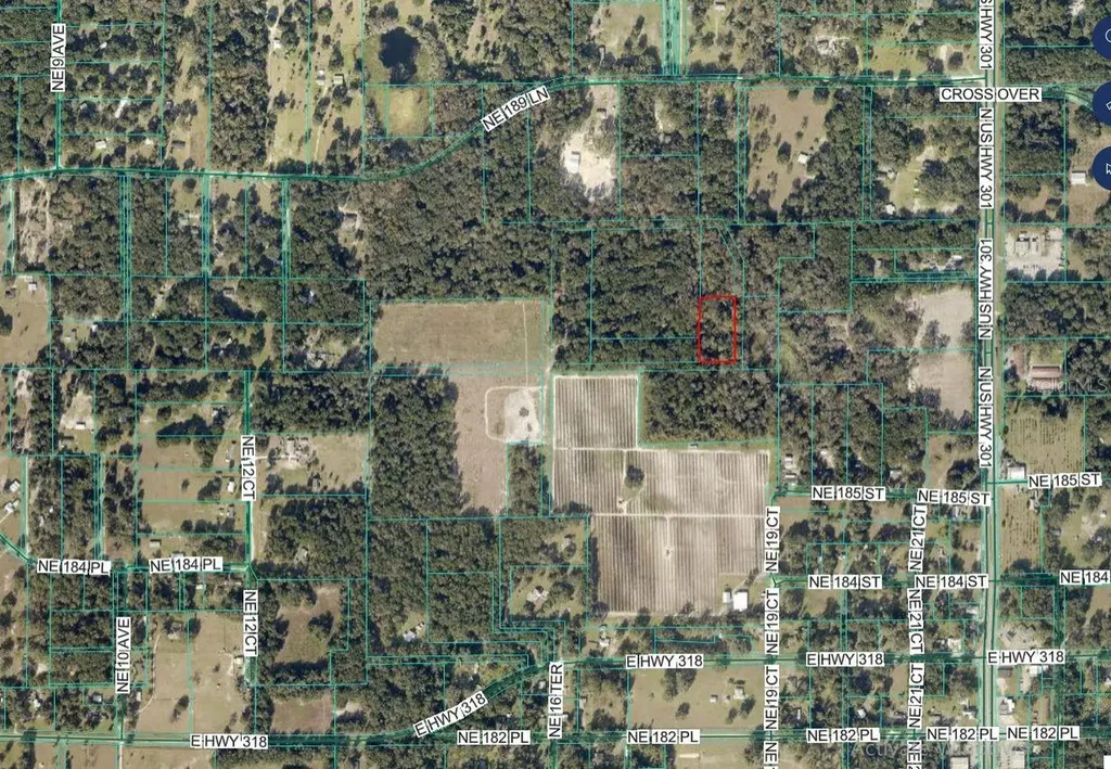 000 NE 189th Lane Citra FL 32113