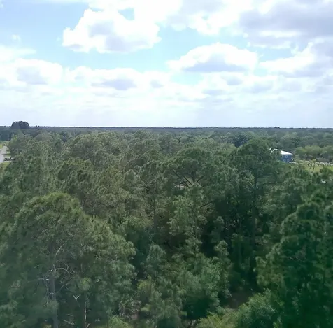 000 NE 189th Lane Citra FL 32113