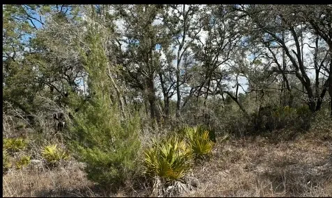18308 Parakeet Road Brooksville FL 34614