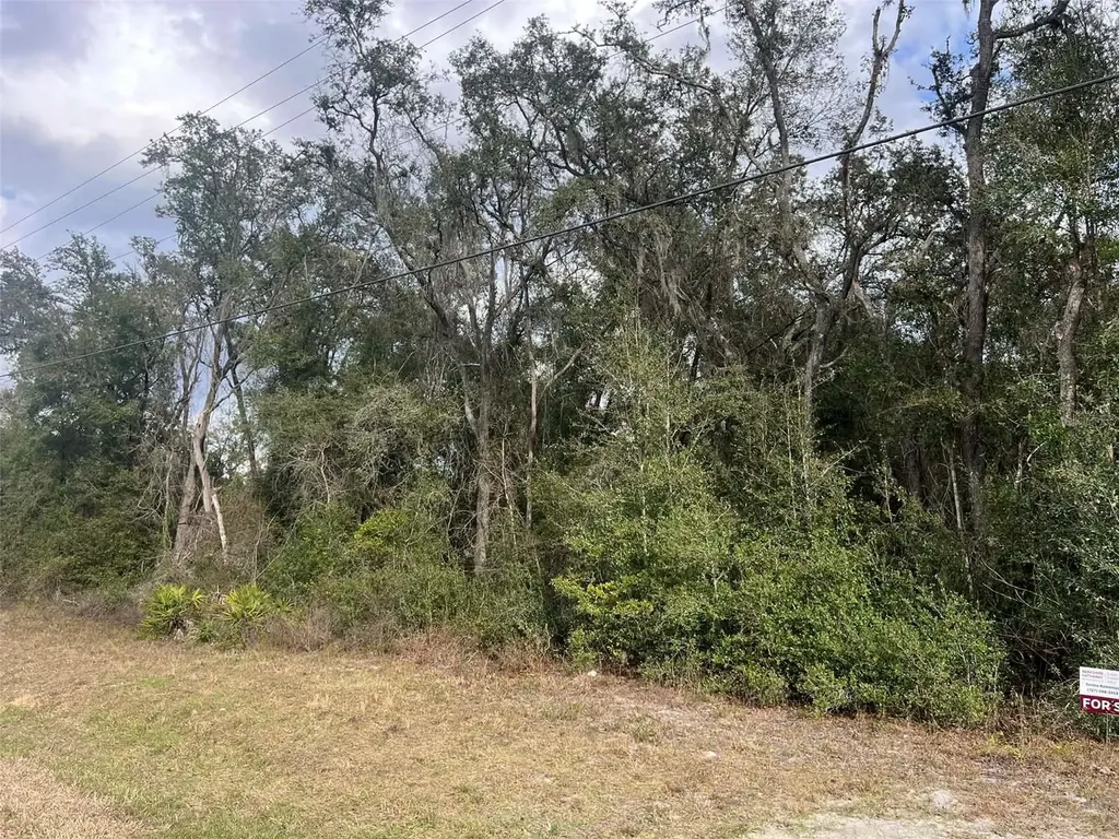 7466 Treiman Boulevard Webster FL 33597