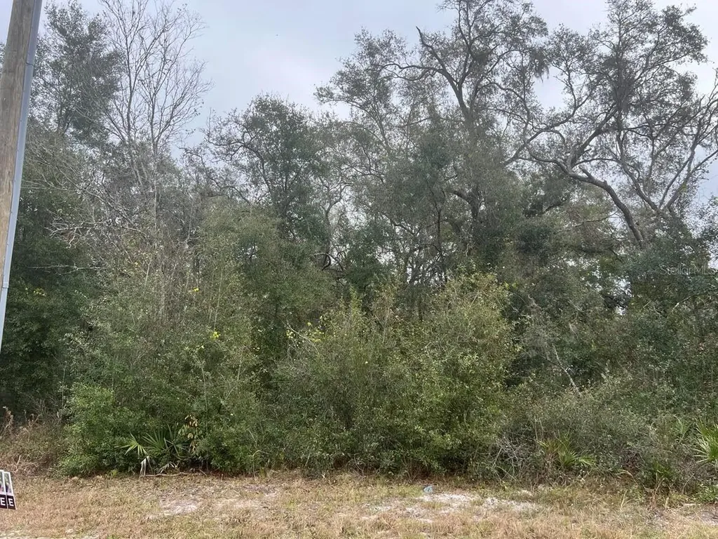 7466 Treiman Boulevard Webster FL 33597