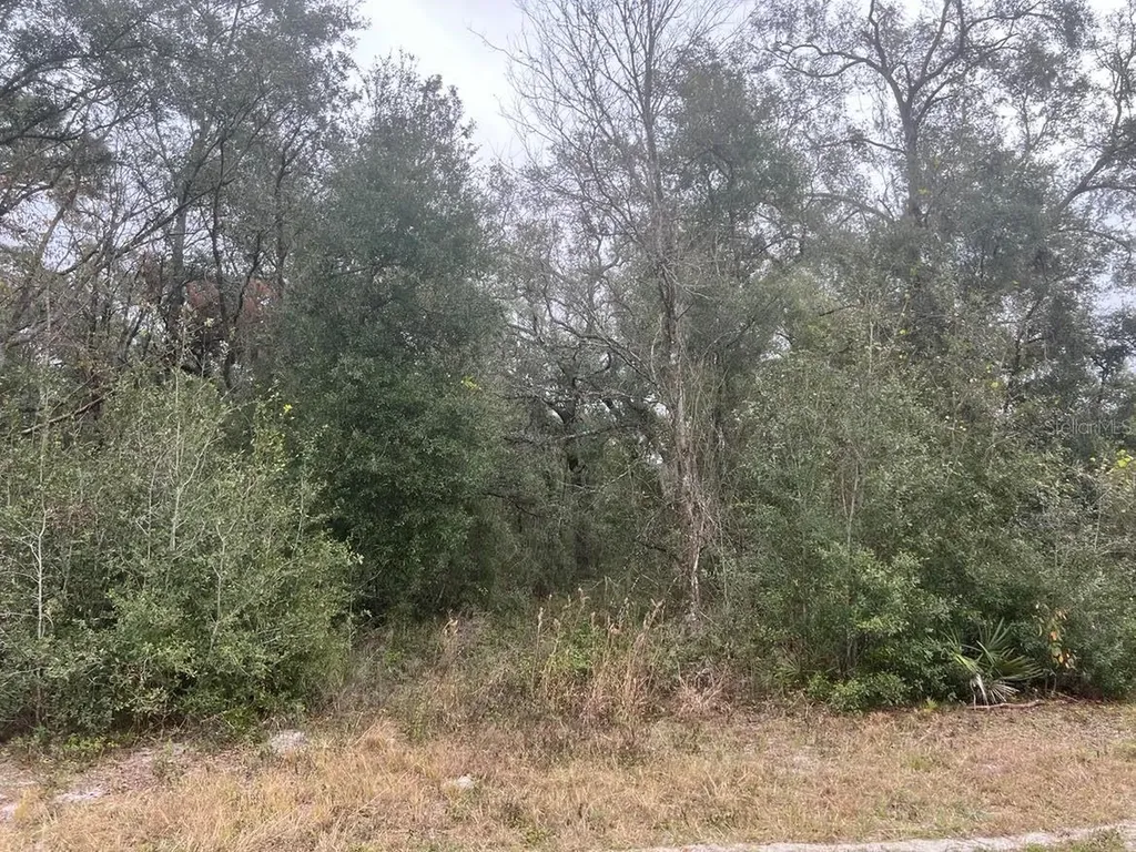 7466 Treiman Boulevard Webster FL 33597