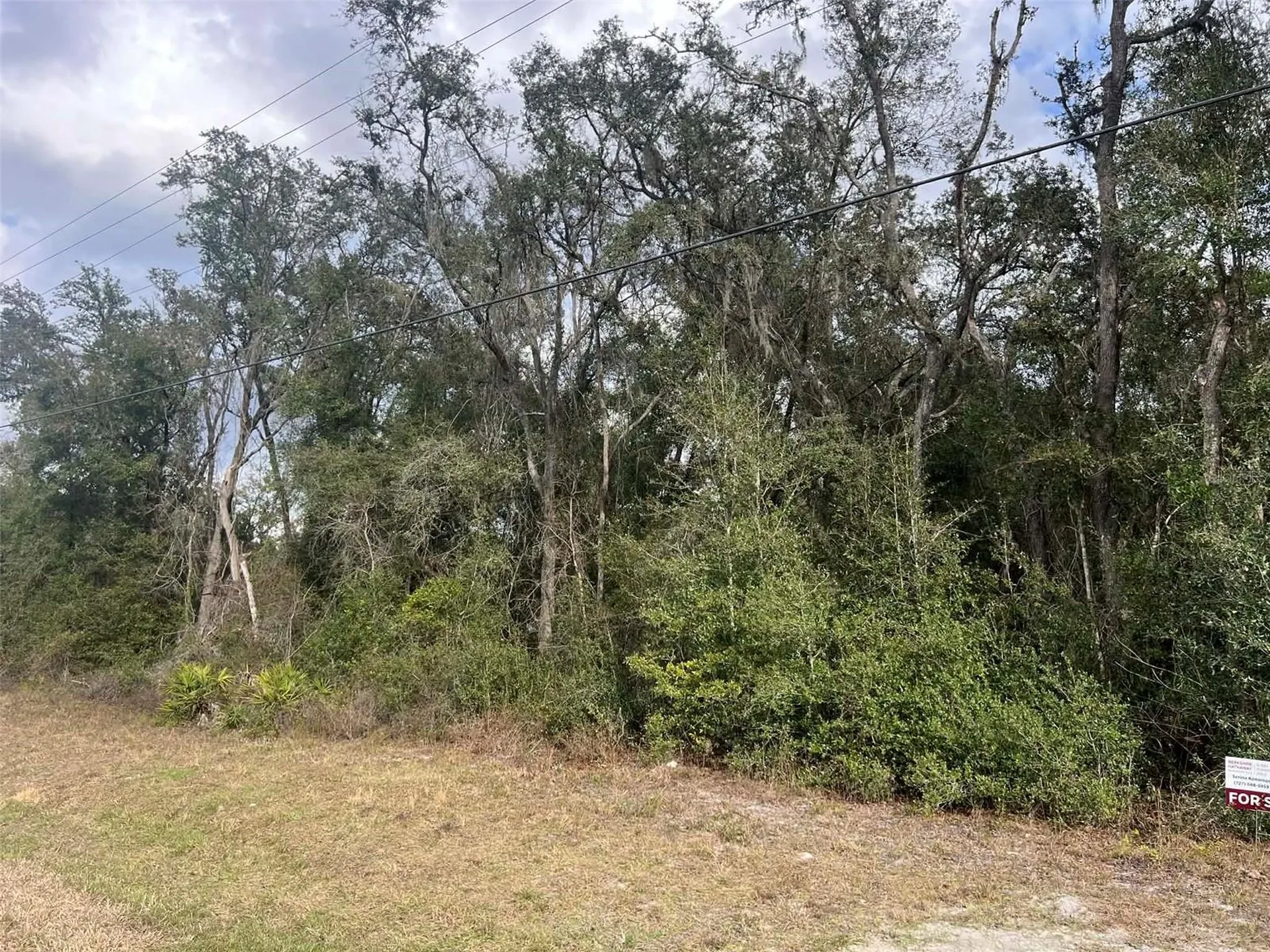 7466 Treiman Boulevard Webster FL 33597