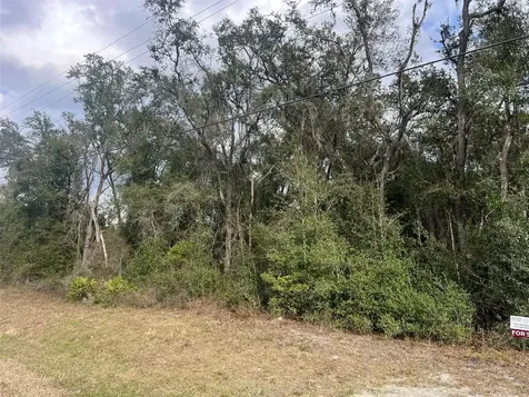 7466 Treiman Boulevard Webster FL 33597