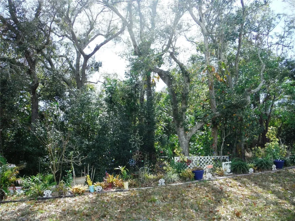 124 Juniperus Drive Safety Harbor FL 34695