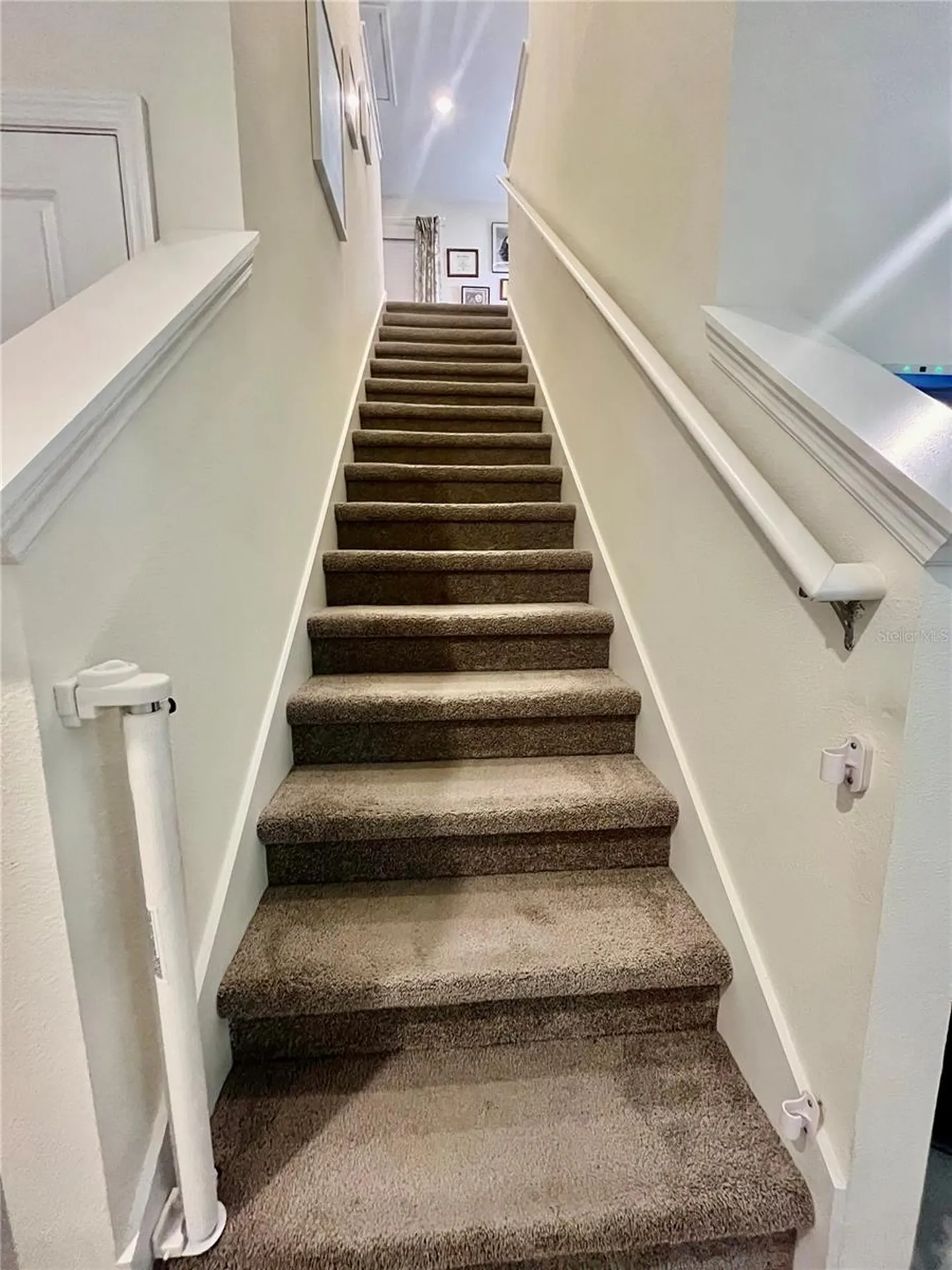 17032 Oval Rum Drive Wimauma FL 33598