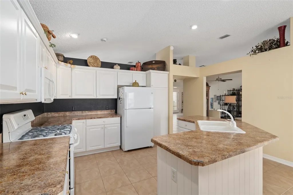 977 Caribou Way The Villages FL 32162