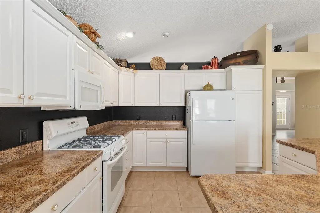 977 Caribou Way The Villages FL 32162