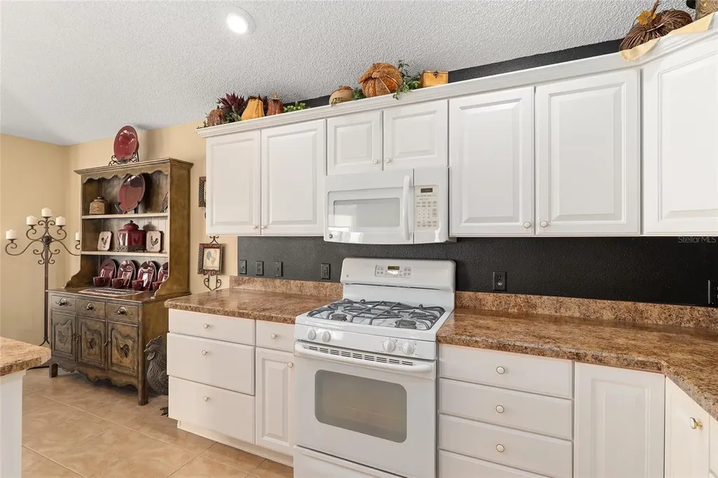 977 Caribou Way The Villages FL 32162