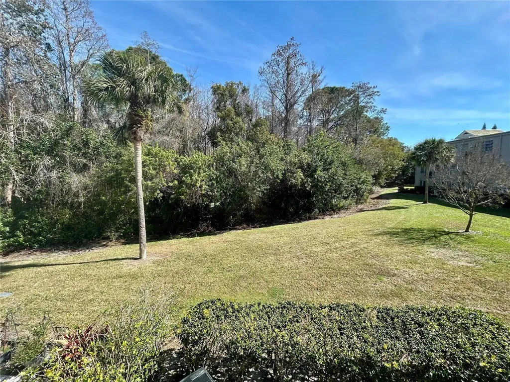 2461 Rhodesian Drive Clearwater FL 33763