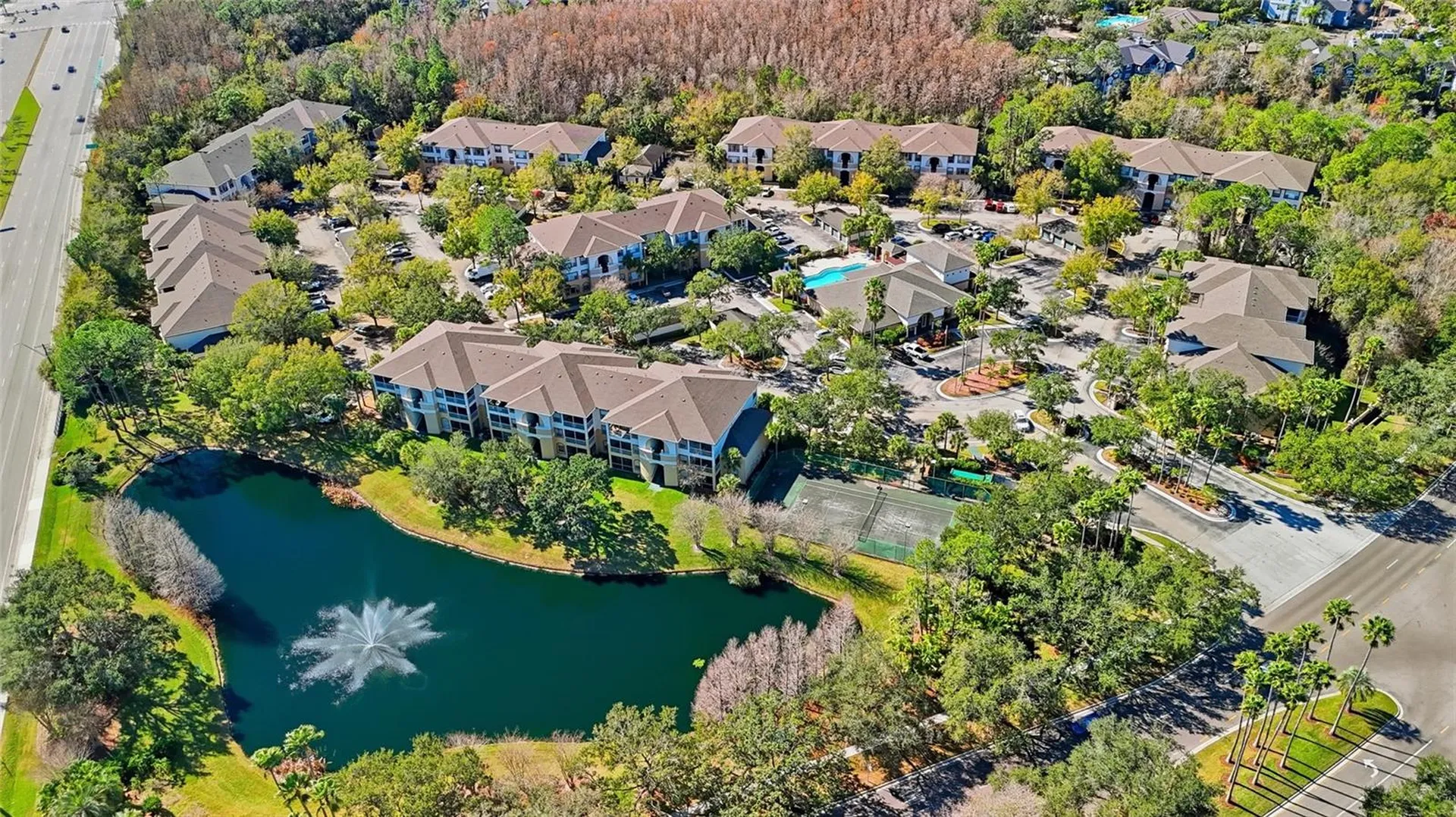 17106 Carrington Park Drive Tampa FL 33647