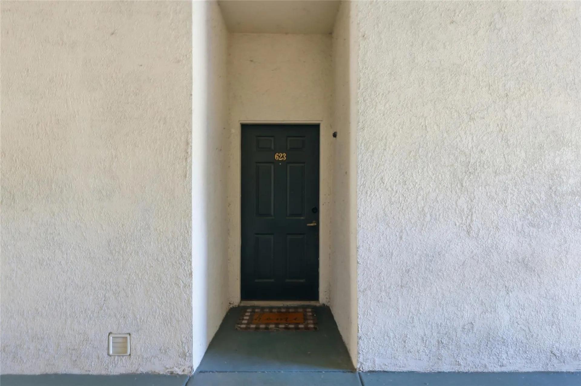 17106 Carrington Park Drive Tampa FL 33647