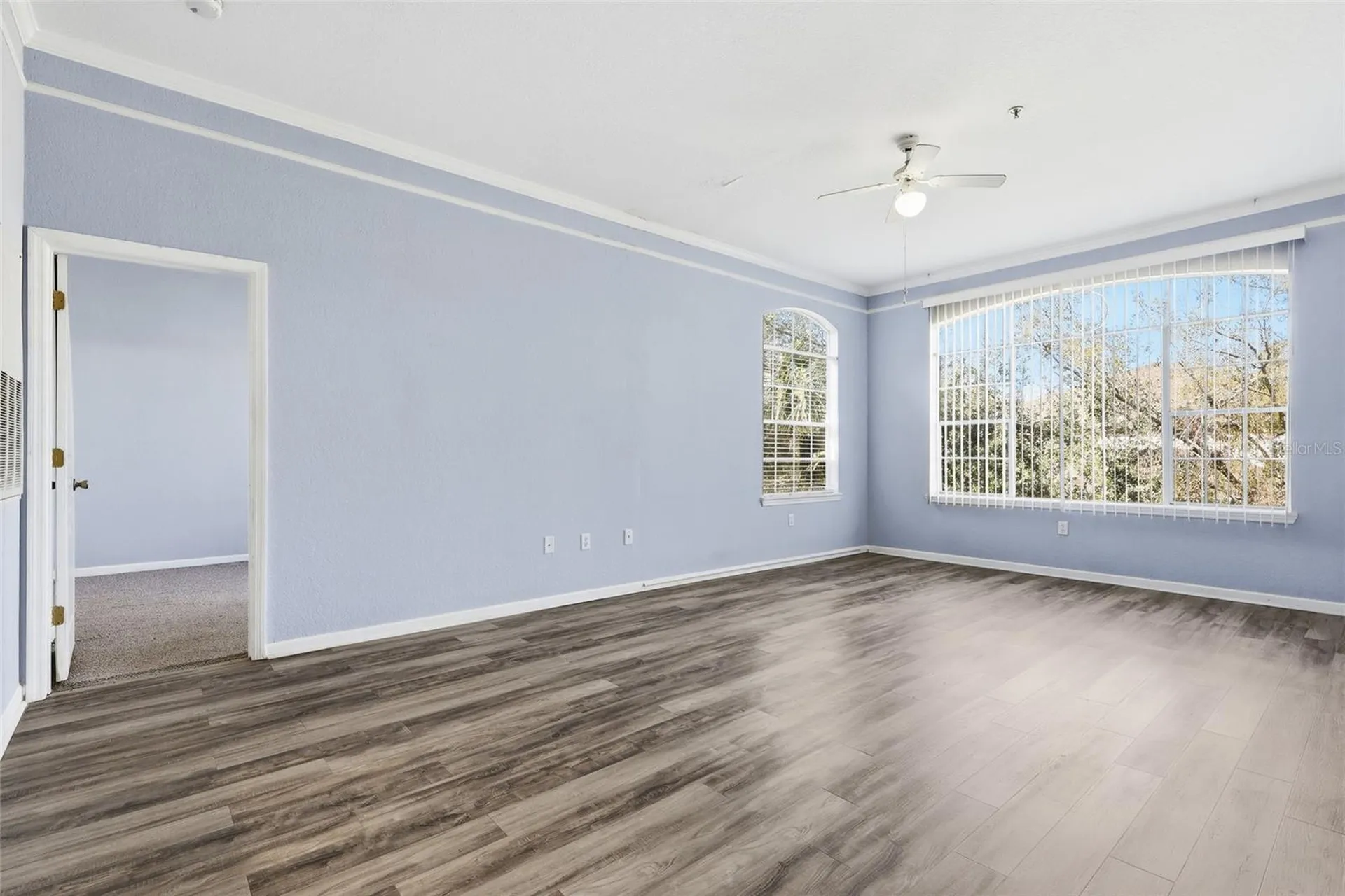 17106 Carrington Park Drive Tampa FL 33647