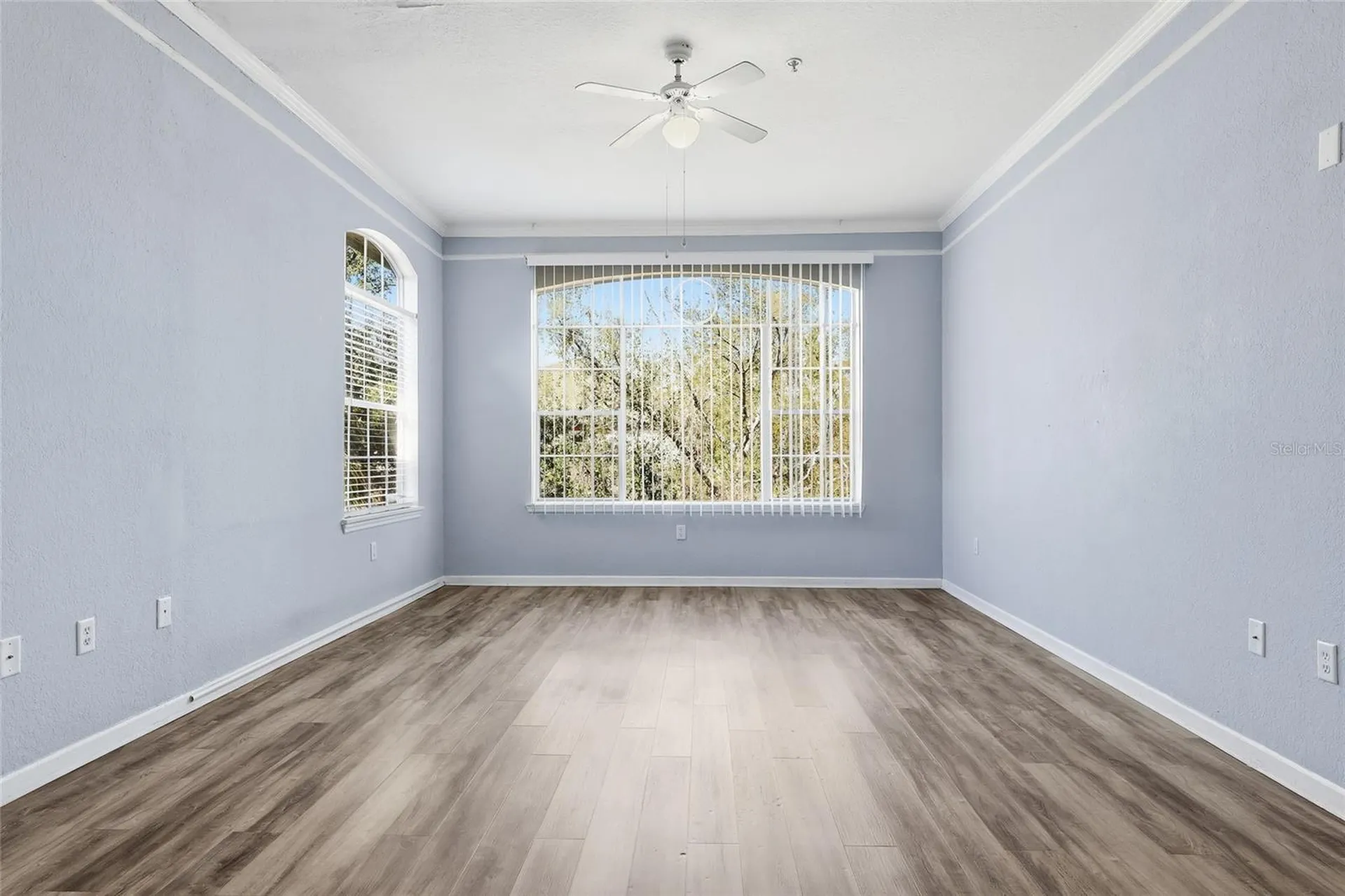 17106 Carrington Park Drive Tampa FL 33647