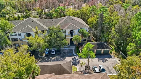 17106 Carrington Park Drive Tampa FL 33647