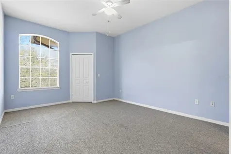17106 Carrington Park Drive Tampa FL 33647