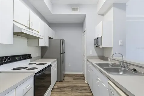 17106 Carrington Park Drive Tampa FL 33647