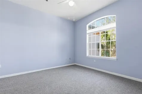 17106 Carrington Park Drive Tampa FL 33647