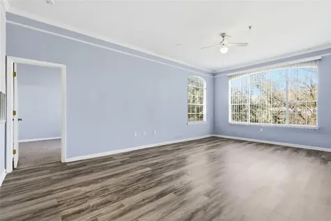 17106 Carrington Park Drive Tampa FL 33647
