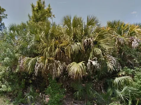 0 Raven Street North Port FL 34286