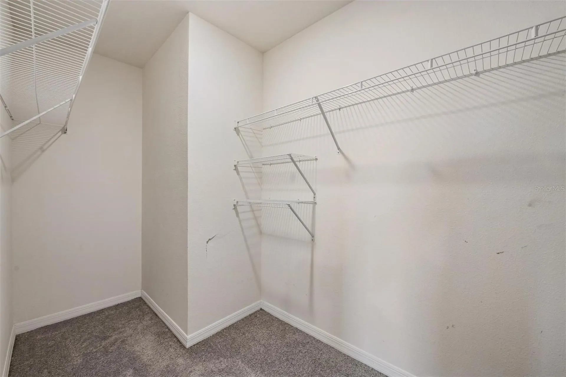 37214 Angel Wings Avenue Zephyrhills FL 33541