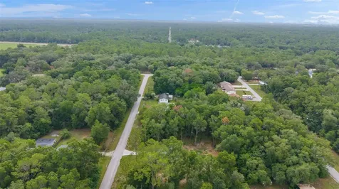 19656 SW Lark Avenue Dunnellon FL 34431
