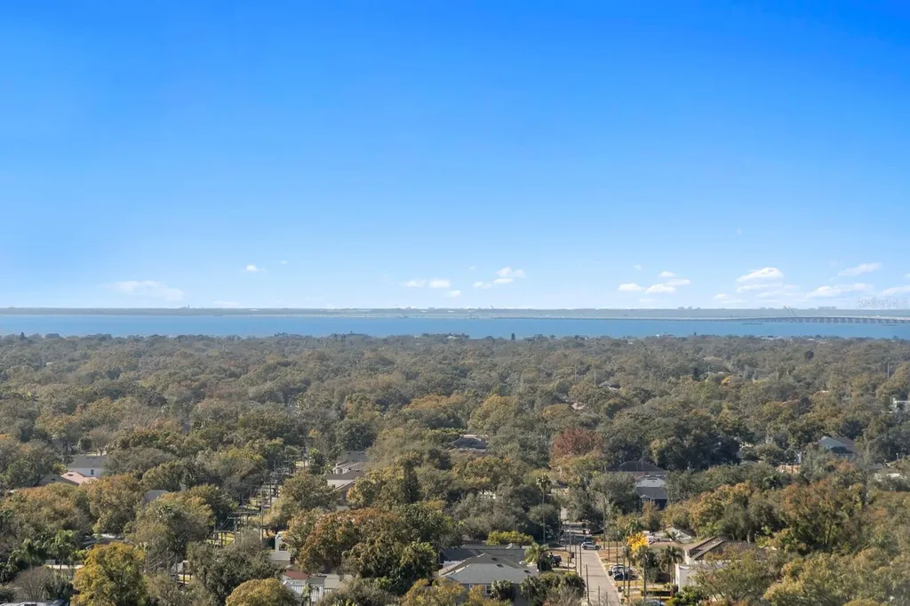 3101 Bayshore Boulevard Tampa FL 33629