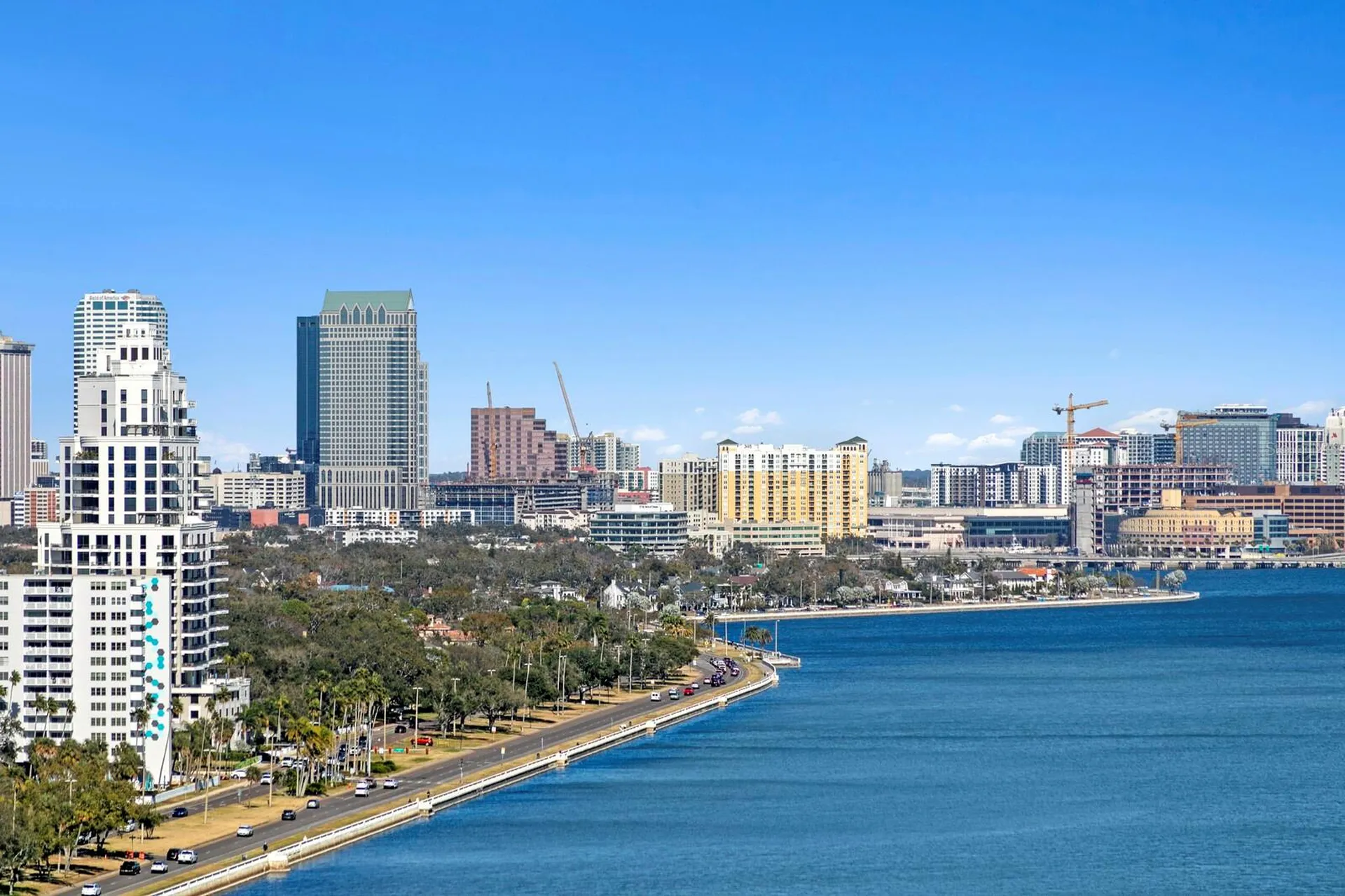 3101 Bayshore Boulevard Tampa FL 33629