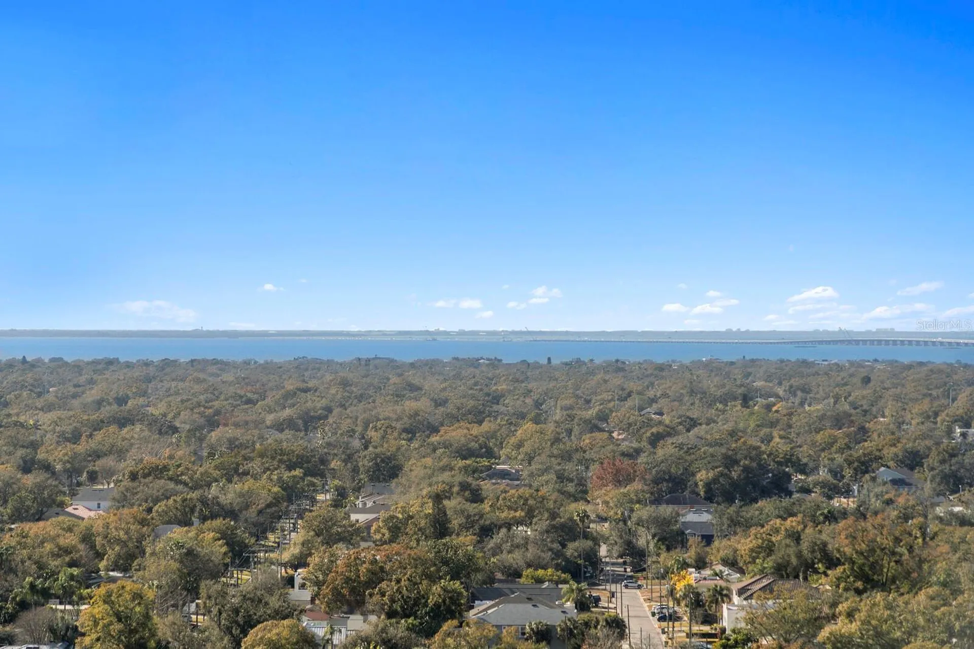 3101 Bayshore Boulevard Tampa FL 33629