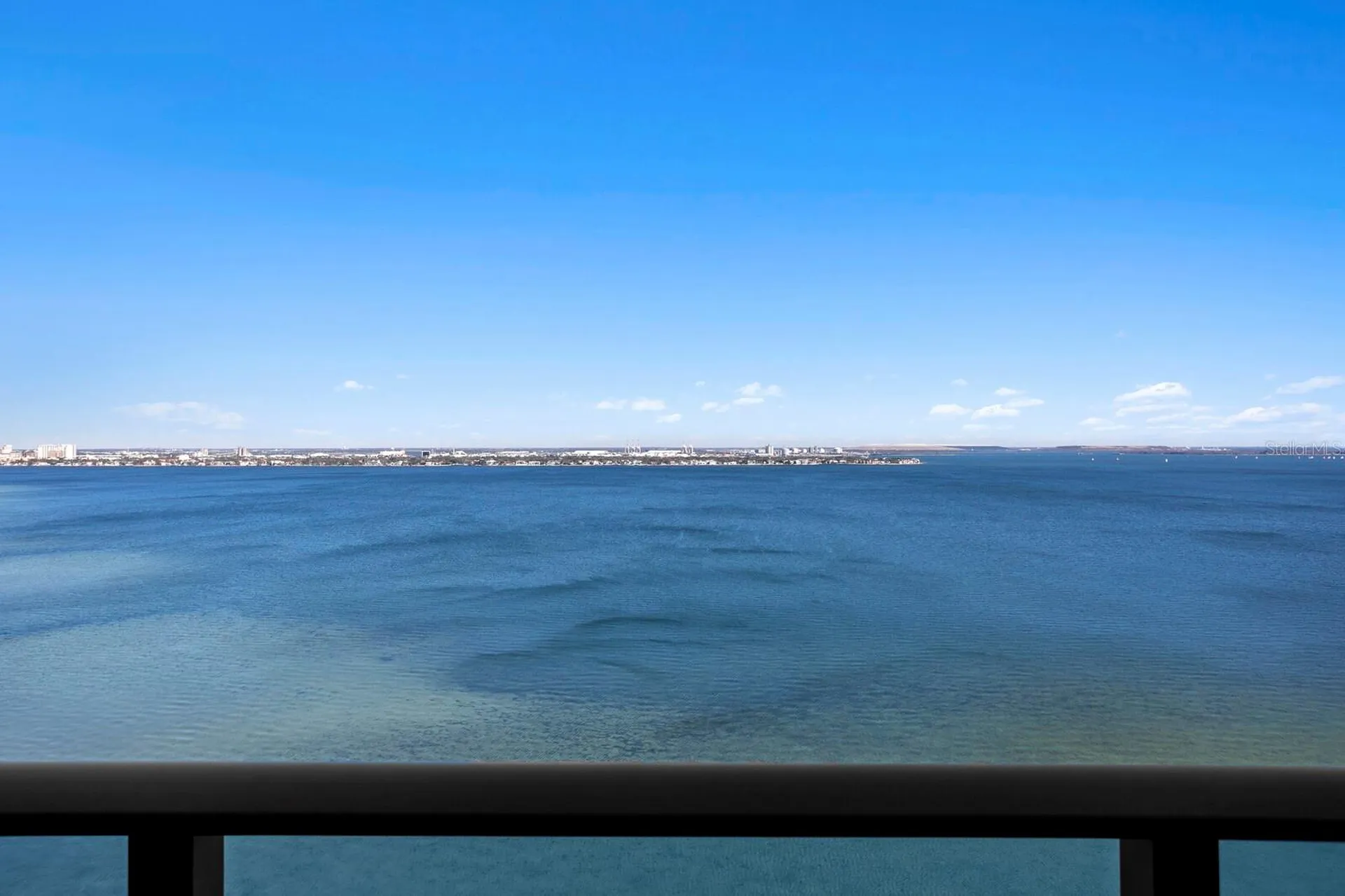 3101 Bayshore Boulevard Tampa FL 33629
