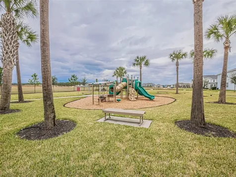 13184 Dendy Way Winter Garden FL 34787