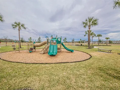 13184 Dendy Way Winter Garden FL 34787