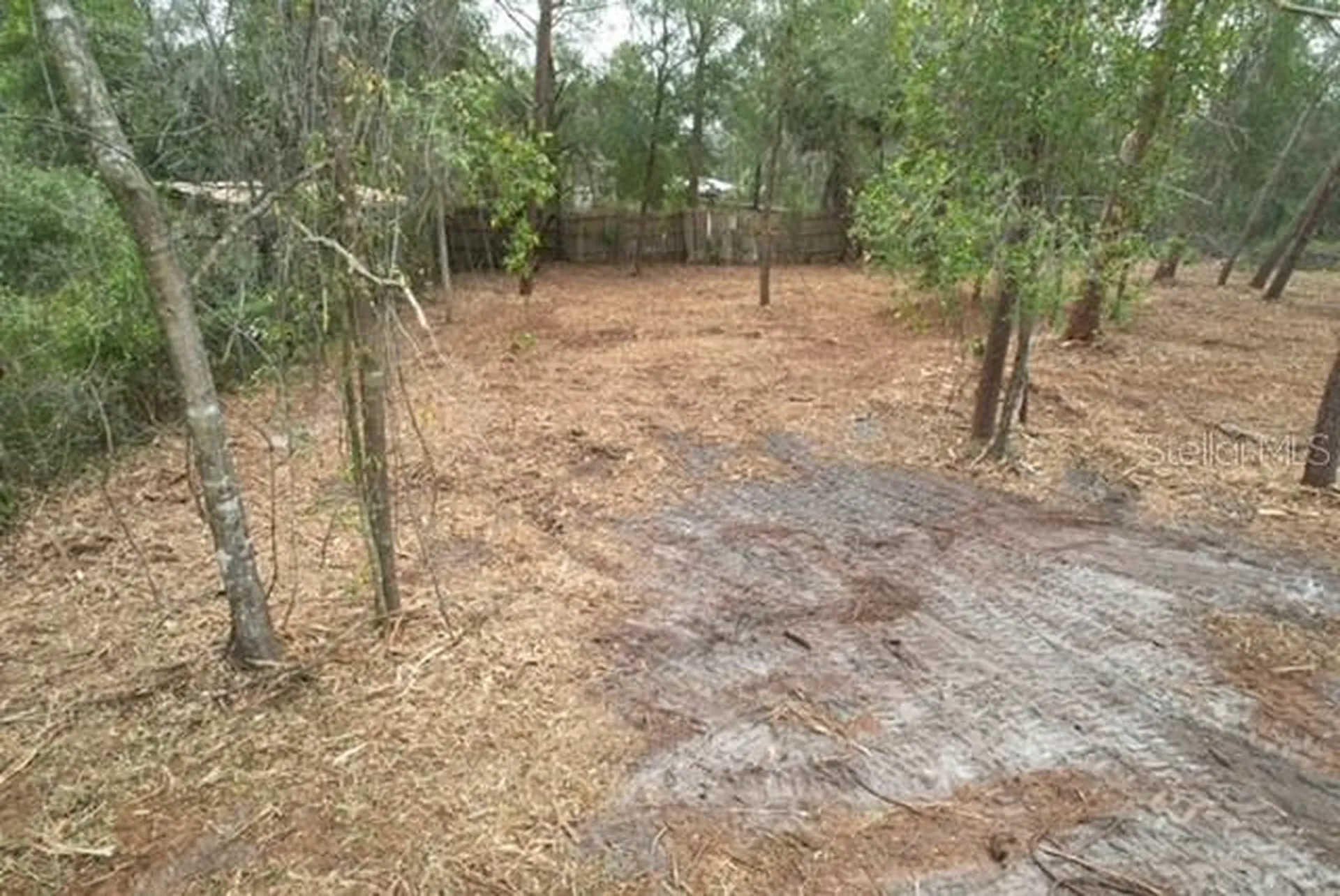 Palm Street Paisley FL 32767