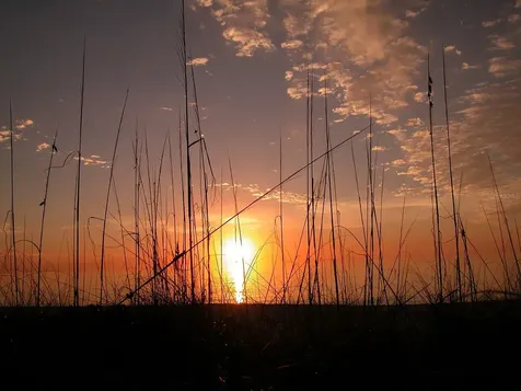 5055 Gulf Of Mexico Drive Longboat Key FL 34228
