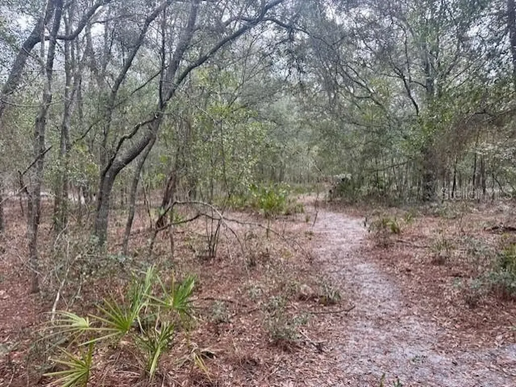NW 11th Avenue Bell FL 32619