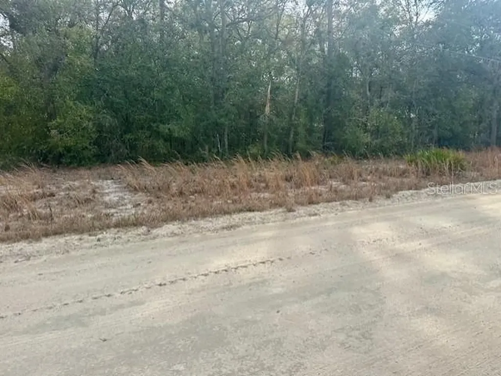 NW 11th Avenue Bell FL 32619