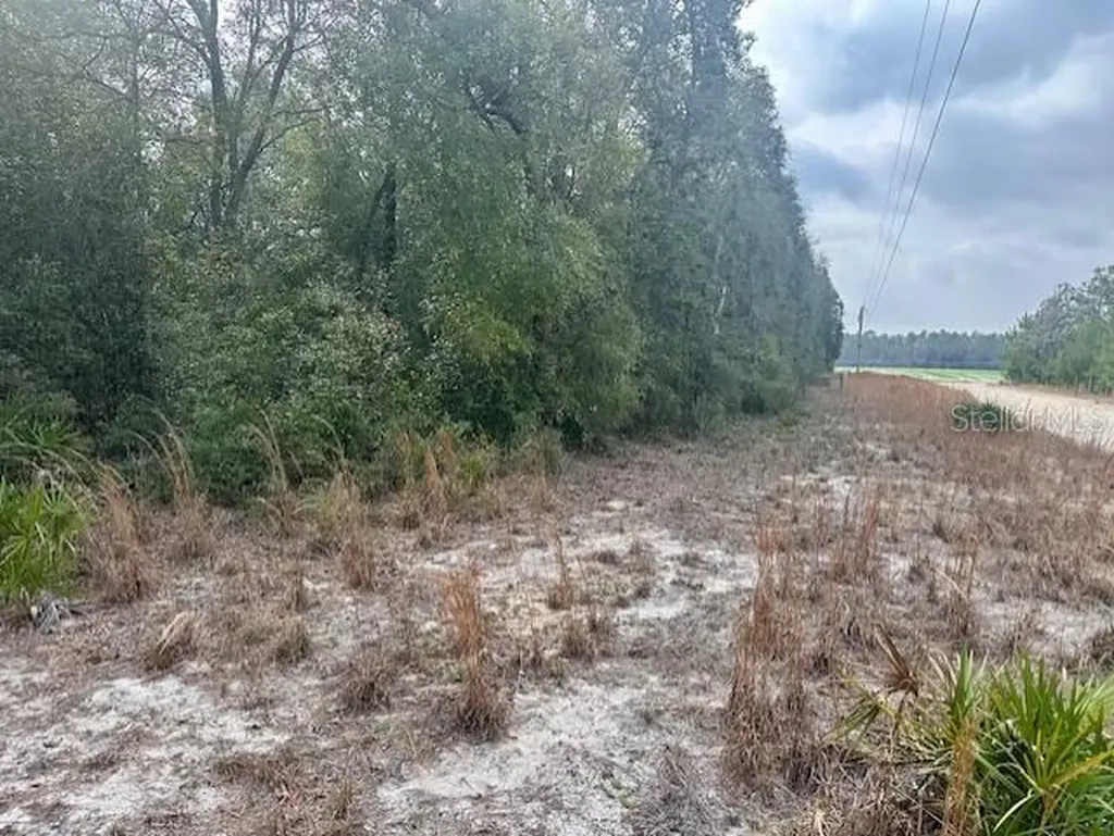 NW 11th Avenue Bell FL 32619