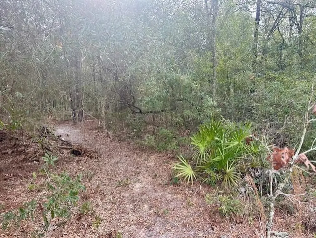 NW 11th Avenue Bell FL 32619