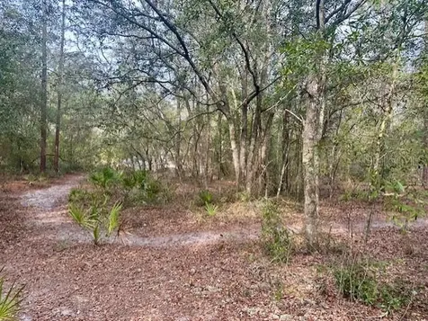 NW 11th Avenue Bell FL 32619