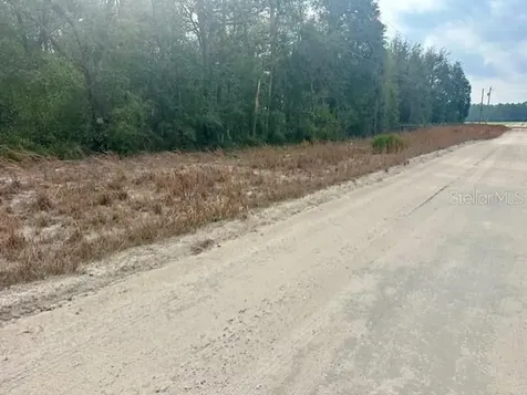 NW 11th Avenue Bell FL 32619