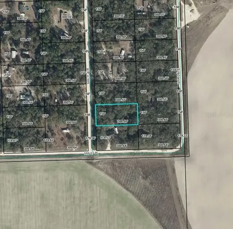 NW 11th Avenue Bell FL 32619