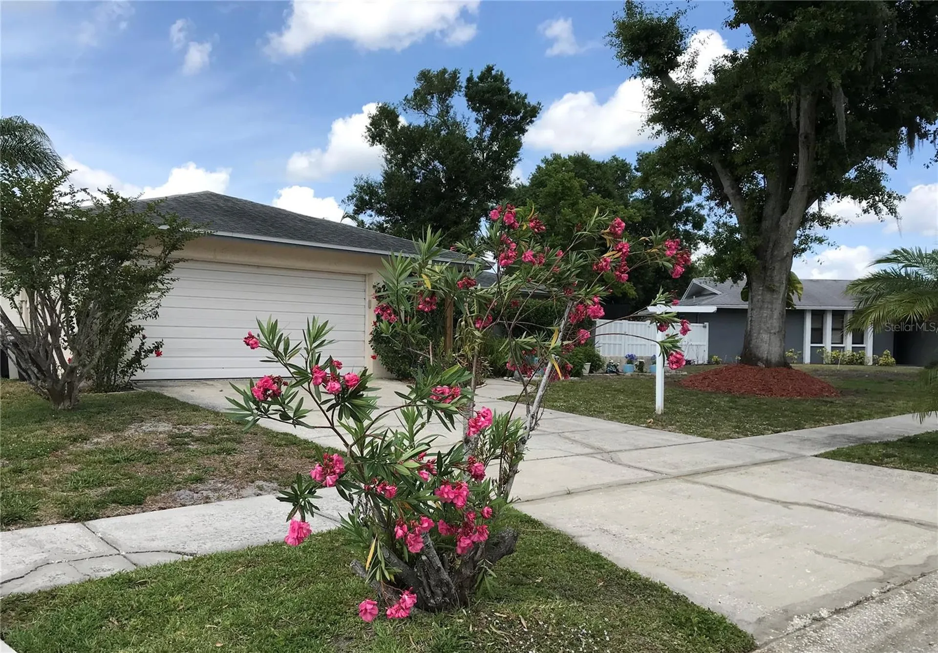5205 Ripple Creek Drive Tampa FL 33625